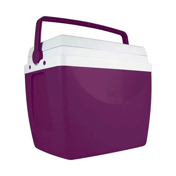 CAIXA TERMICA 34L AÇAI