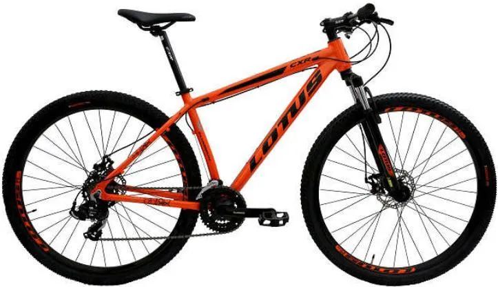 BICICLETA ARO 29 AL NITRO F.MEC 21V LARAN/PTO
