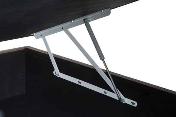 BASE SOMMIER BAU PHYS CAMU BEGE39x138x188