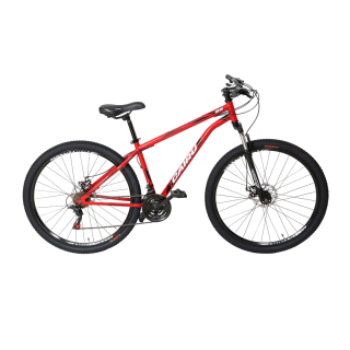 BIC 29 ACO MTB FLASH MASC 21V F.D VERM