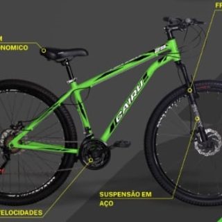 BIC 29 ACO MTB FLASH MASC 21V F.D VERDE