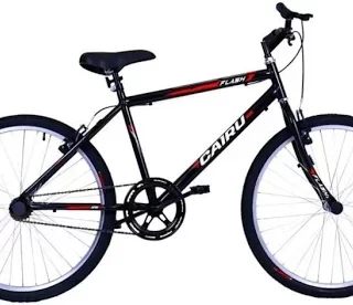 BIC 26 MTB FLASH PTO/VERM