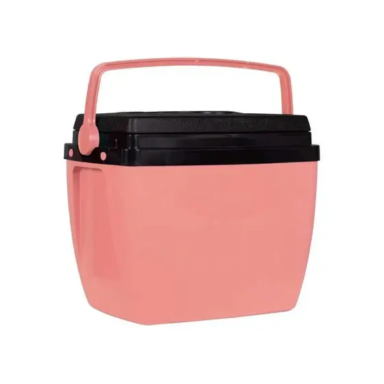 CAIXA TERMICA 18L PESSEGO (1)