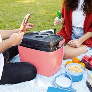 CAIXA TERMICA 18L PESSEGO (1)