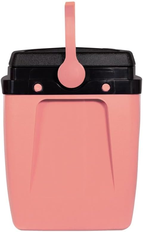 CAIXA TERMICA 18L PESSEGO (1)