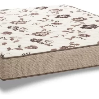 PHYSICAL MEGA RESISTENTE02200X1880X1380