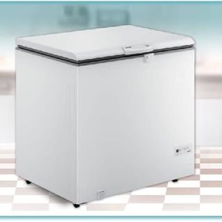 FREEZER HORIZ 1 PORTA 309L 127V