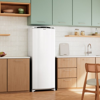 GELADEIRA DOMEST 1 PORTA 300L 127V BR CL A