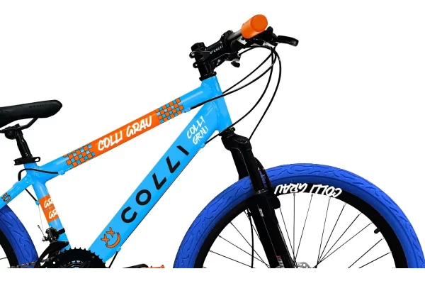 BIC. COLLI GRAU A.26 F.DISCO 21V AZUL CHAMPANHE D