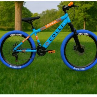 BIC. COLLI GRAU A.26 F.DISCO 21V AZUL CHAMPANHE D