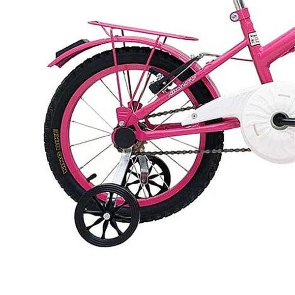BIC 16 FLOWERS ROSA/PINK