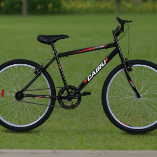 BIC 26 MTB FLASH PTO/VERM