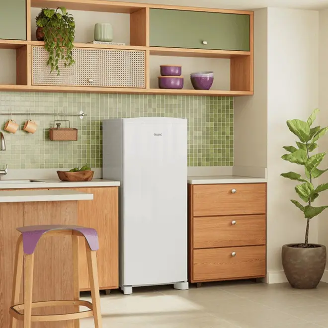 GELADEIRAS REF.CONSUL 263L CRA30M BCO 110