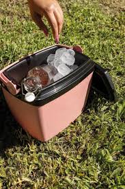 CAIXA TERMICA 6L PESSEGO (1)