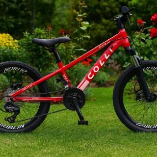 BIC. COLLI DUBLIN ARO 20 ALUMINIO F.DISCO 21V VERMELHO D