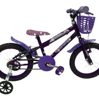 BIC 16 FLOWERS VIOLETA