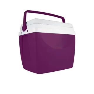 CAIXA TERMICA 34L ACAI (1)